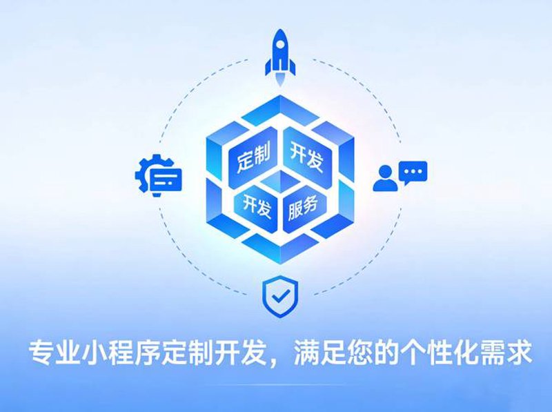 程序定制